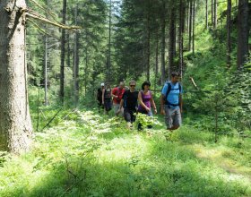 Wandern